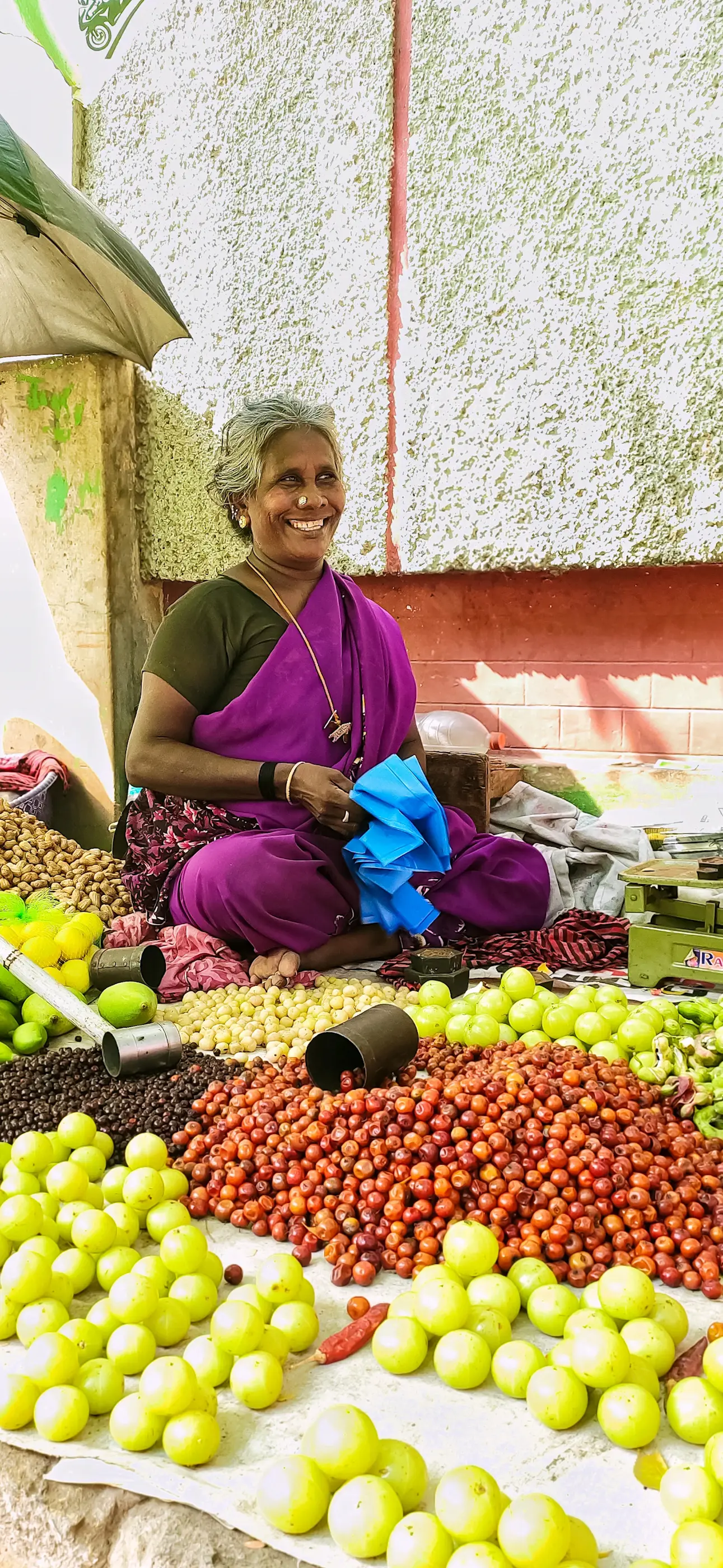 A smiling woman in a purple sari sits surrounded by heaps of gooseberries, jujube, and other produce spread on the ground.